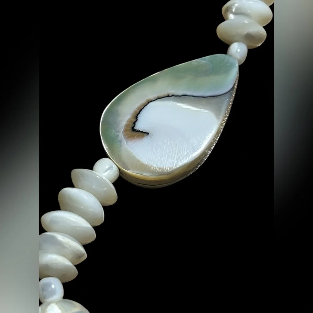 Beautiful Ammonite Shell Necklace - Picture 3 of 5